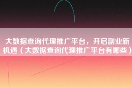 大数据查询代理推广平台，开启副业新机遇（大数据查询代理推广平台有哪些）