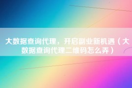 大数据查询代理，开启副业新机遇（大数据查询代理二维码怎么弄）