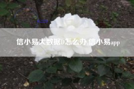信小易大数据D怎么办,信小易app