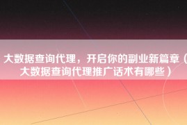 大数据查询代理，开启你的副业新篇章（大数据查询代理推广话术有哪些）