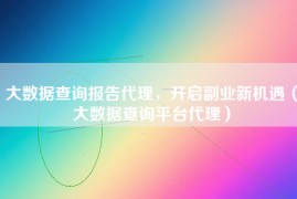 大数据查询报告代理，开启副业新机遇（大数据查询平台代理）