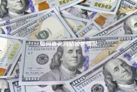 如何查询网站被黑情况