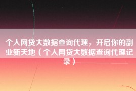 个人网贷大数据查询代理，开启你的副业新天地（个人网贷大数据查询代理记录）