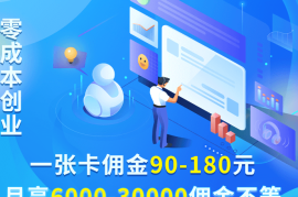 网络大数据查询代理公司，开启你的副业新篇章（网络大数据查询代理公司有哪些）