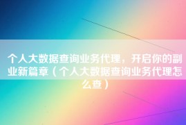 个人大数据查询业务代理，开启你的副业新篇章（个人大数据查询业务代理怎么查）