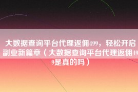 大数据查询平台代理返佣499，轻松开启副业新篇章（大数据查询平台代理返佣499是真的吗）