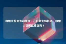 网黑大数据查询代理，开启副业新机遇（网黑大数据免费查询）