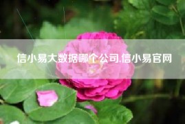 信小易大数据哪个公司,信小易官网