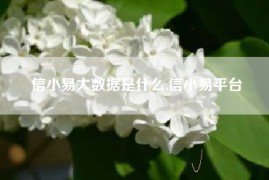 信小易大数据是什么,信小易平台
