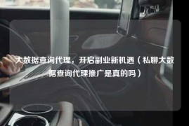 大数据查询代理，开启副业新机遇（私聊大数据查询代理推广是真的吗）