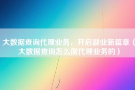 大数据查询代理业务，开启副业新篇章（大数据查询怎么做代理业务的）