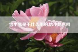 信小易是干什么用的,信小易官网