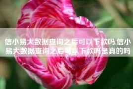 信小易大数据查询之后可以下款吗,信小易大数据查询之后可以下款吗是真的吗