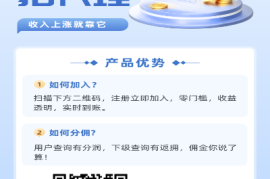代理大数据查询，代理大数据查询赚钱