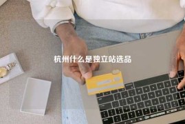 杭州什么是独立站选品