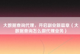 大数据查询代理，开启副业新篇章（大数据查询怎么做代理业务）