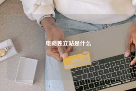 电商独立站是什么