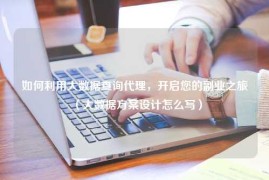 如何利用大数据查询代理，开启您的副业之旅（大数据方案设计怎么写）