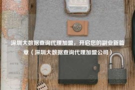深圳大数据查询代理加盟，开启您的副业新篇章（深圳大数据查询代理加盟公司）