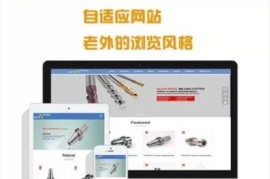 外贸网站搭建