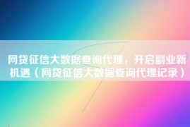 网贷征信大数据查询代理，开启副业新机遇（网贷征信大数据查询代理记录）
