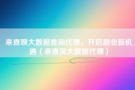 来查呗大数据查询代理，开启副业新机遇（来查贝大数据代理）