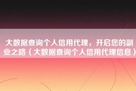 大数据查询个人信用代理，开启您的副业之路（大数据查询个人信用代理信息）