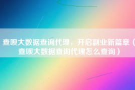 查呗大数据查询代理，开启副业新篇章（查呗大数据查询代理怎么查询）