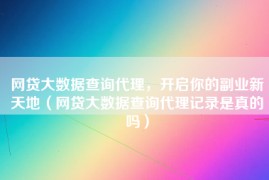 网贷大数据查询代理，开启你的副业新天地（网贷大数据查询代理记录是真的吗）