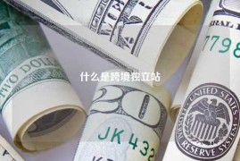 什么是跨境独立站