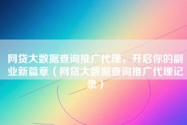 网贷大数据查询推广代理，开启你的副业新篇章（网贷大数据查询推广代理记录）