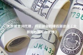 大数据查询代理，开启副业的赚钱新途径（大数据查询平台代理）