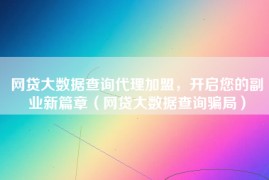网贷大数据查询代理加盟，开启您的副业新篇章（网贷大数据查询骗局）