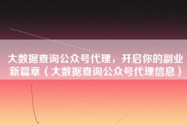 大数据查询公众号代理，开启你的副业新篇章（大数据查询公众号代理信息）