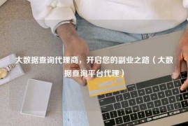 大数据查询代理商，开启您的副业之路（大数据查询平台代理）