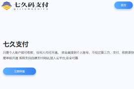 个人在线收款申请,小额代收款在线网站