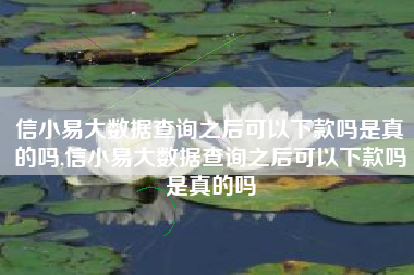 信小易大数据查询之后可以下款吗是真的吗,信小易大数据查询之后可以下款吗是真的吗