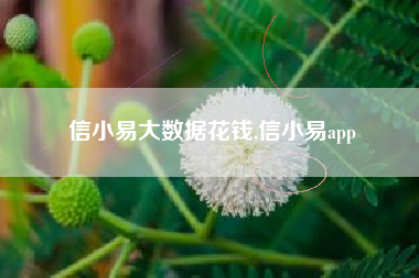信小易大数据花钱,信小易app