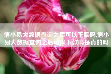 信小易大数据查询之后可以下款吗,信小易大数据查询之后可以下款吗是真的吗