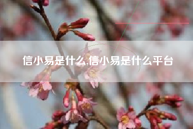 信小易是什么,信小易是什么平台