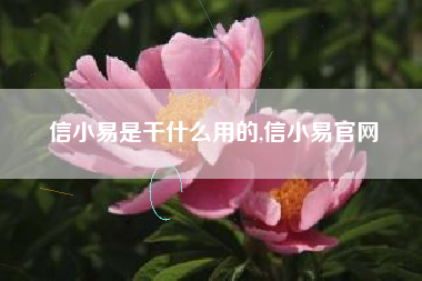 信小易是干什么用的,信小易官网