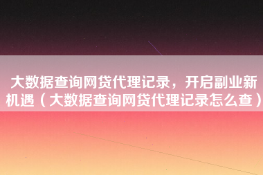大数据查询网贷代理记录，开启副业新机遇（大数据查询网贷代理记录怎么查）