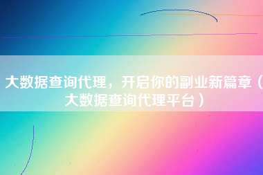 大数据查询代理，开启你的副业新篇章（大数据查询代理平台）