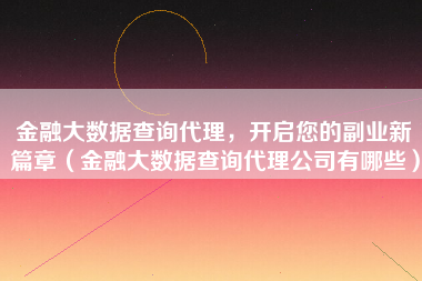 金融大数据查询代理，开启您的副业新篇章（金融大数据查询代理公司有哪些）