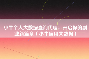 小牛个人大数据查询代理，开启你的副业新篇章（小牛信用大数据）
