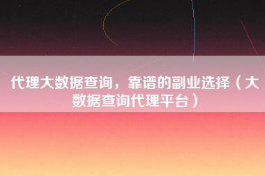 代理大数据查询，靠谱的副业选择（大数据查询代理平台）