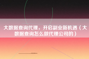 大数据查询代理，开启副业新机遇（大数据查询怎么做代理公司的）