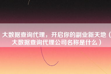 大数据查询代理，开启你的副业新天地（大数据查询代理公司名称是什么）