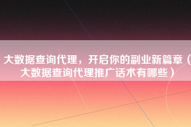 大数据查询代理，开启你的副业新篇章（大数据查询代理推广话术有哪些）