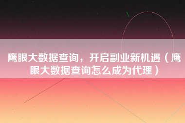 鹰眼大数据查询，开启副业新机遇（鹰眼大数据查询怎么成为代理）